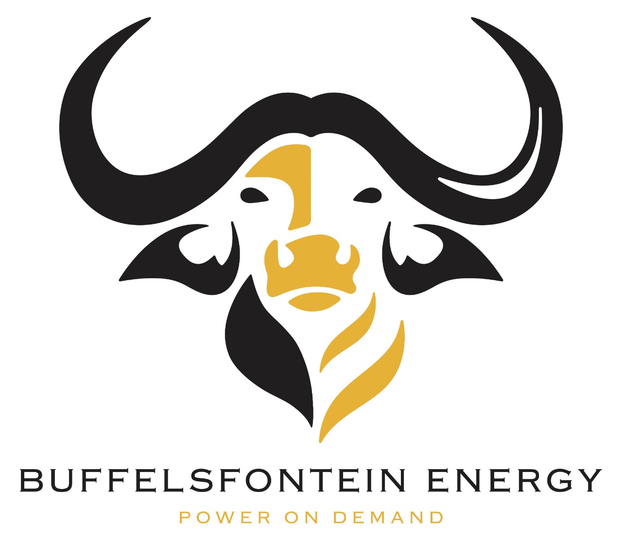 Buffelsfontein energy